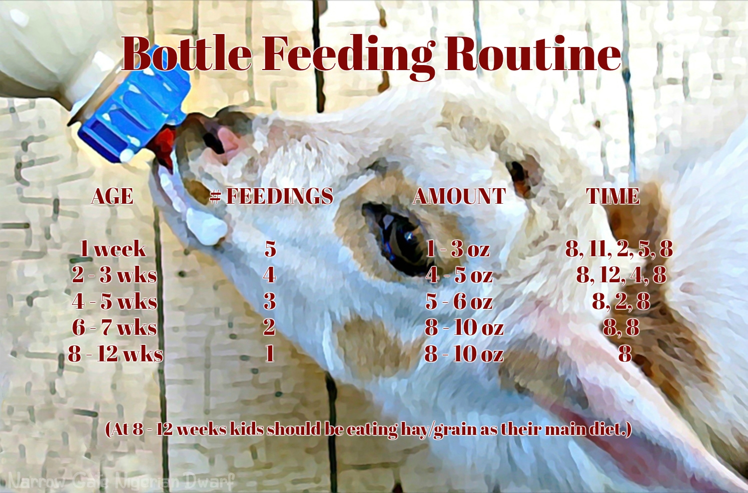 Bottle Feeding Goats Chart